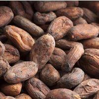 purchase coca bean , nibs , and coca products thumbnail image