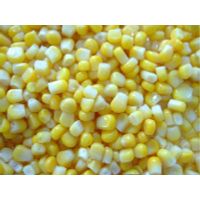 Canned Sweet Corn thumbnail image