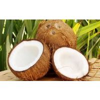 Fresh Coconut for sale thumbnail image