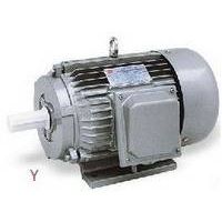 Y Series Three-Phase Asynchronous Induction Motor thumbnail image