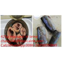 425g canned mackerel fish in natural juice salt added thumbnail image