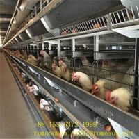 poultry layer cages_shandong tobetter Excellent product thumbnail image