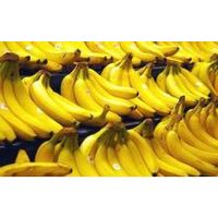 Fresh Banana thumbnail image