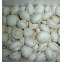 sell fresh/dry/brine chapignon/button mushrooms thumbnail image