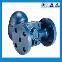 Ductile Iron Ball Float & Thermostatic Steam Trap thumbnail image