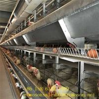 find laying cage_shandong tobetter meet customer need thumbnail image