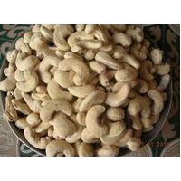 cashew kernel thumbnail image