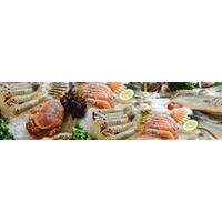 Sell Frozen Seafood thumbnail image