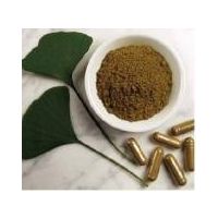 Organic Ginkgo Biloba Extraction/USP/DAB Herb Powder thumbnail image