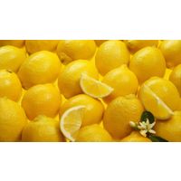 Fresh Eureka Lemons thumbnail image