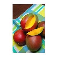 fresh Mangoes thumbnail image