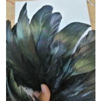 Black rooster tail /coque tail feather thumbnail image