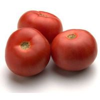 Fresh Tomatoes thumbnail image