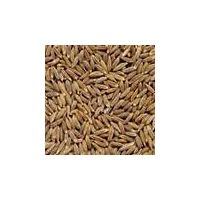 cumin seed from Md exports,India thumbnail image