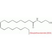 Oleoylethanolamide (OEA) thumbnail image