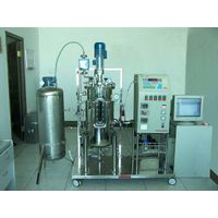 Anaerobic sludge bioreactor thumbnail image