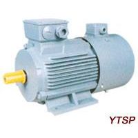 YTSP Series Adjustable speed Three-Phase Induction Motors thumbnail image