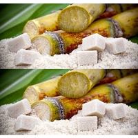 Brazilian Cane Sugar thumbnail image