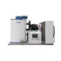 ICESTA Small Range 0.5T-3T Flake Ice Machines with Cheap Price thumbnail image
