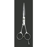 Professional Stainless Steel Salon Hair Cutting Scissor Barber Shears Hair Tools thumbnail image