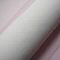 Polyamide Nylon Printing Mesh Fabric thumbnail image