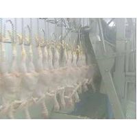 Duck Slaughter and Abattoir Equipment and Machine thumbnail image