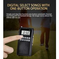Portable mini FM radio with TF card function thumbnail image