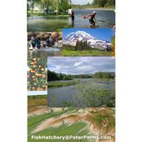 Trout and Salmon Fish Hatchery for sale thumbnail image