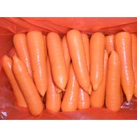 fresh carrot thumbnail image