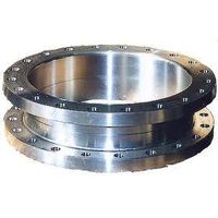 Forge Weld Neck Stainless Steel Flange thumbnail image