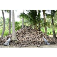 Pellet Machine for Coconut Shell in stock thumbnail image