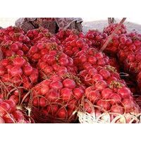 Fresh pomegranate for sale thumbnail image