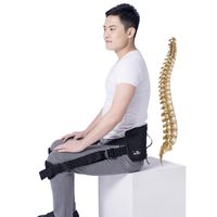Lumbar Support for Back Pain office thumbnail image