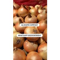 Fresh golden onion thumbnail image