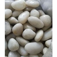 Pebble stone-----white color thumbnail image
