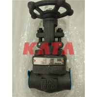 1500Lb Gate Valve with Flanged thumbnail image