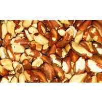 Brazil Nuts | Cashew Nuts |Apricot | Betel Nuts | thumbnail image