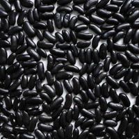 Black Kidney Beans thumbnail image