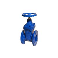 DIN 3352 F4 resilient seated cast iron GG25 gate valve thumbnail image