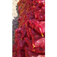 Fresh Red Onion From Egypt To European Crop 2021 thumbnail image