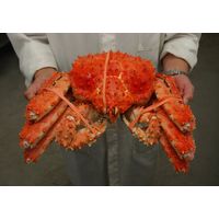 Live & Frozen Alaskan King Crabs thumbnail image