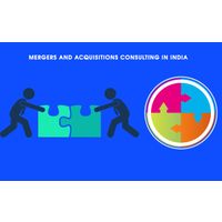 Mergers and Acquisitions Advisory Services thumbnail image