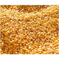 Yellow Corn/ yellow maize for human consumption non GMO thumbnail image