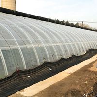 Winter Plastic Film Tunnel Passive Solar Greenhouse Single Span Heat Preservation thumbnail image