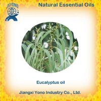 Chinese Eucalyputs oil 80% Wholesale Price Supplier and Exoporter thumbnail image
