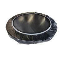 In-ground Trampoline 10' & 12' thumbnail image