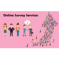 Online Survey Services thumbnail image