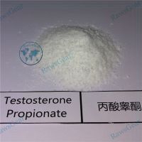 Steroid Hormone Testosterone Propionate raw powder Test prop thumbnail image