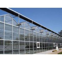 The Cheapest and Easily Installed Sainpoly Agricultural/Commercial Glass Greenhouse thumbnail image