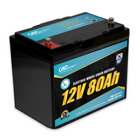 LiFePO4 Batteries for Marine, Golf Car, EV, ESS, Solar Power etc. thumbnail image